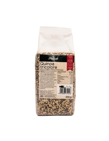 Risotto ai porcini